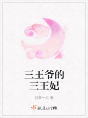三王爷的三王妃叫什么
