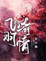 飞羽是什么人物