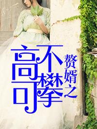 赘婿之高不可攀全文阅读