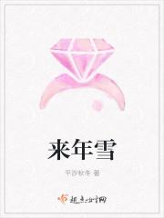 来年雪打灯上一句