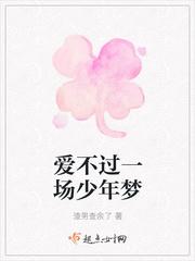 爱不过一场少年梦是什么歌