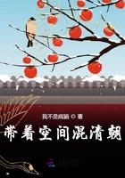 带着空间穿清朝全文