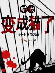 喵我变成猫了表情包