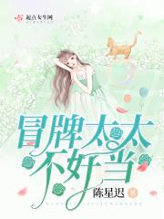 冒牌夫人别想逃免费阅读