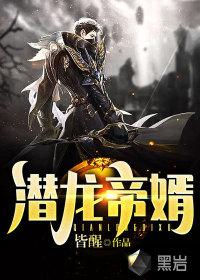 潜龙豪婿免费阅读