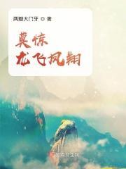 金六福龙飞凤翔多少钱