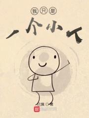 我只是一个小人物却有自己的感悟 歌词