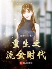 重生之流金时代 笔趣阁
