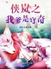 侠岚之我是辰星