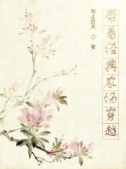 带着经典农场穿越的