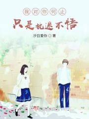 我对你何止只是执迷不悟歌词