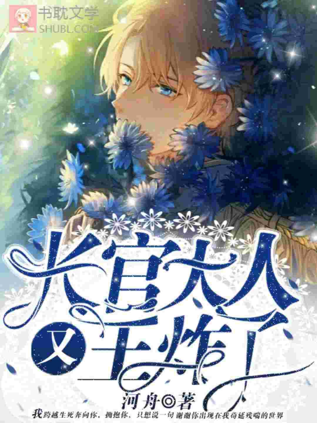 长官大人又王炸了免费阅读无弹窗