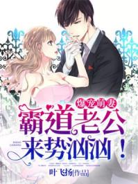 霸道老公宠萌妻免费阅读全文