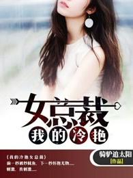 我的冷艳女总裁 骑驴追太阳
