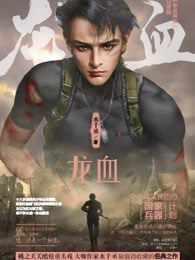 龙血树的寓意与风水