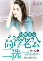 闪婚蜜宠高冷男神甜暖妻