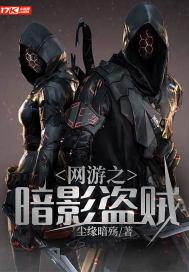 网游之暗影盗贼盘