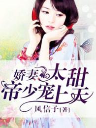 帝少宠上天免费阅读