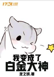 绝世全才高手TXT免费