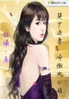 楚少追妻有一手免费阅读