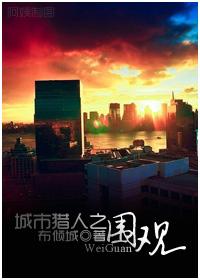 城市猎人观影顺序