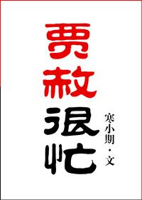 贾赦很忙 寒小期