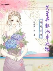 满目星辰皆是你艾辰完整版