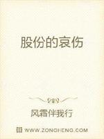 股份意味着什么