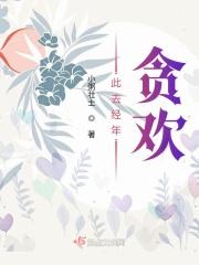 此去经年是啥意思