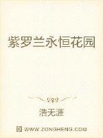 紫罗兰永恒花园免费观看完整版