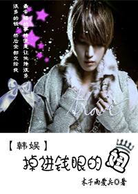 韩娱之掉进钱眼里的妞