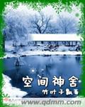 空间神舍 竹叶子飘