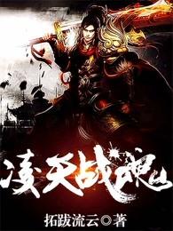 凌天战魂 拓跋流云