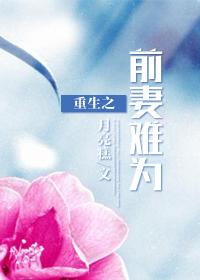 重生之前妻难宠