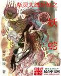 紫灵大陆实体书