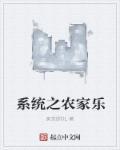 系统之农妇