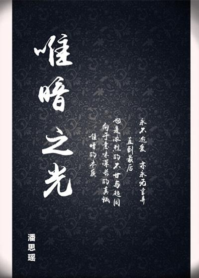 唯暗之光剧情介绍