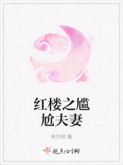 红楼之尴尬夫妻全文免费阅读