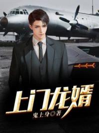 上门龙婿叶辰完整版免费全文阅读大结局