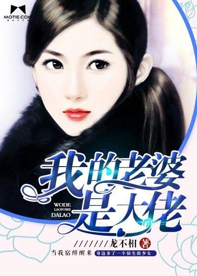 我的老婆是大佬免费阅读