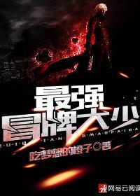 冒牌大少口袋免费全文阅读