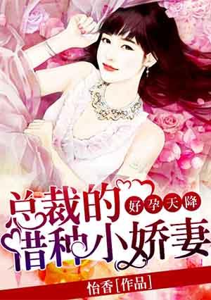 总裁借个娃全文阅读