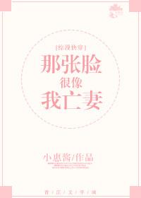 那张脸是什么歌