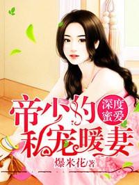 帝少的私宠暖妻免费阅读