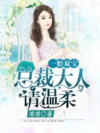 一胎双宝总裁大人夜夜欢慕少凌阮白