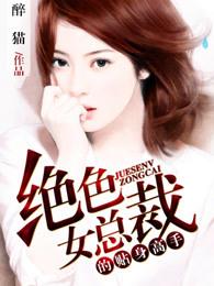 绝品女总裁的贴身高手