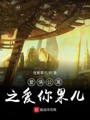 爱情公寓之挚爱一生免费观看