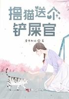 铲屎官的猫是什么体验