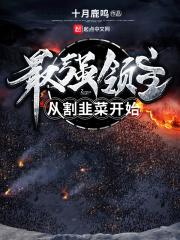 最强领主发展之路