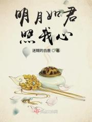 明月照君心